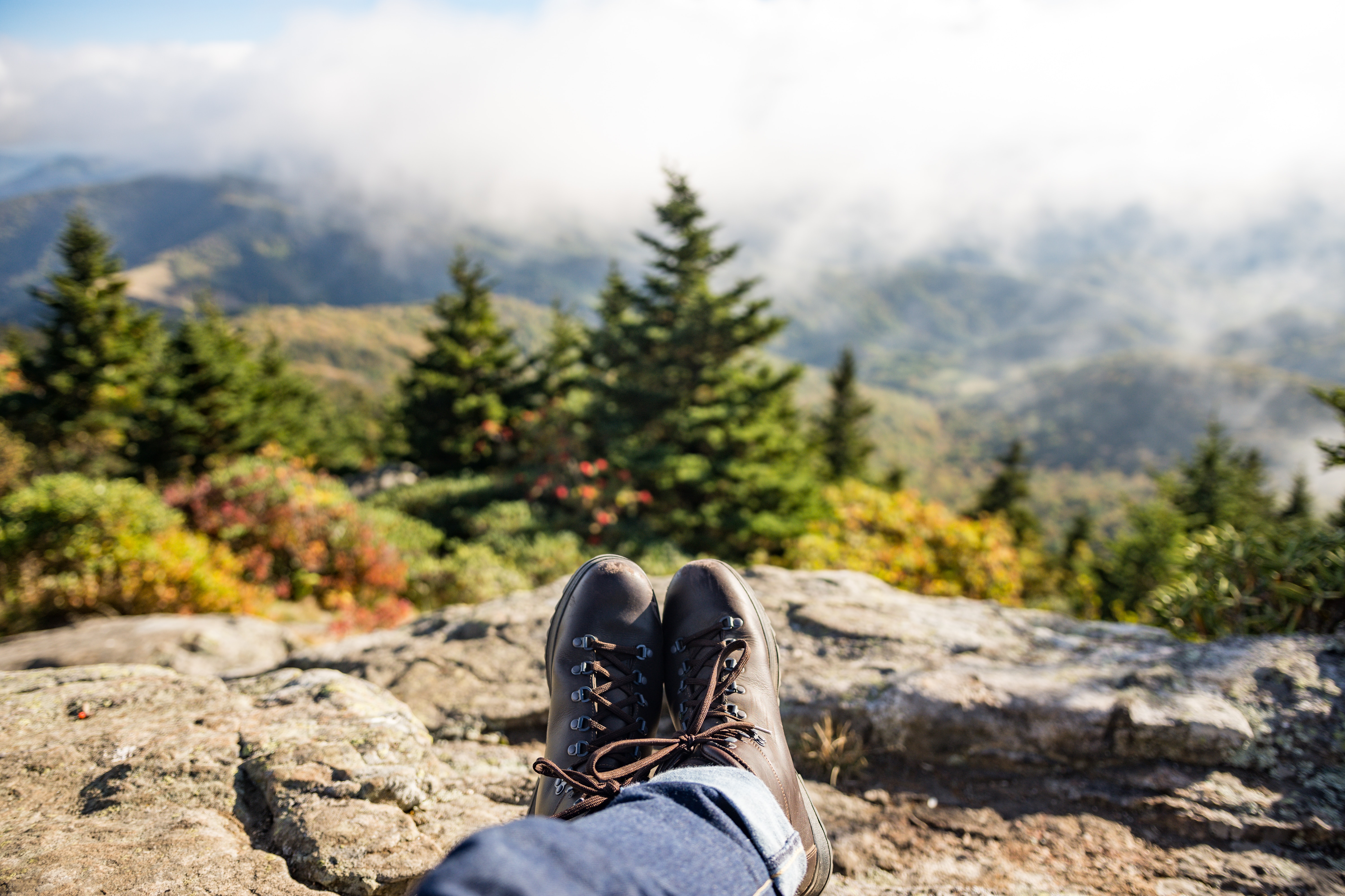 A picture showing nature from a cliff