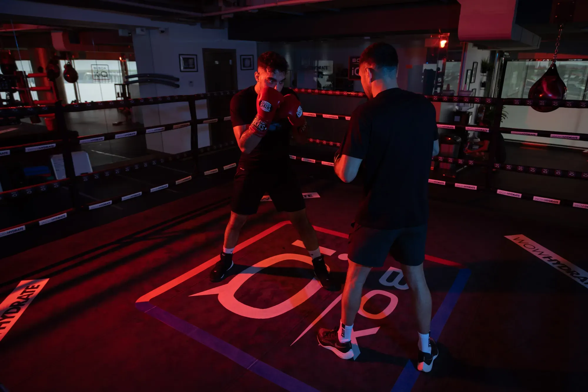 Cómo usar la IA en tus clases de Boxeo