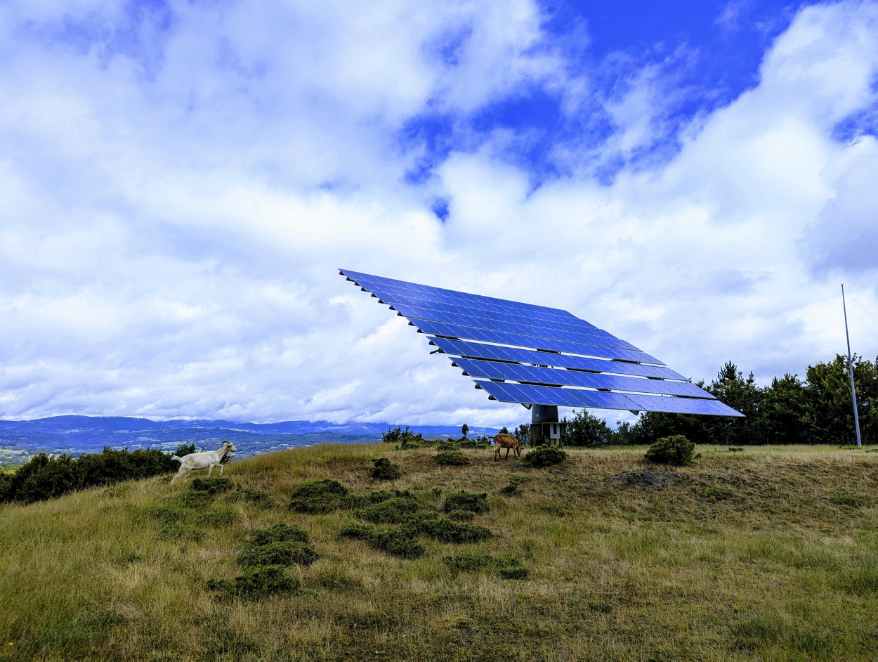 CONVOCATORIA DE PREMIOS EUROPEOS CAPITAL VERDE Y HOJA VERDE