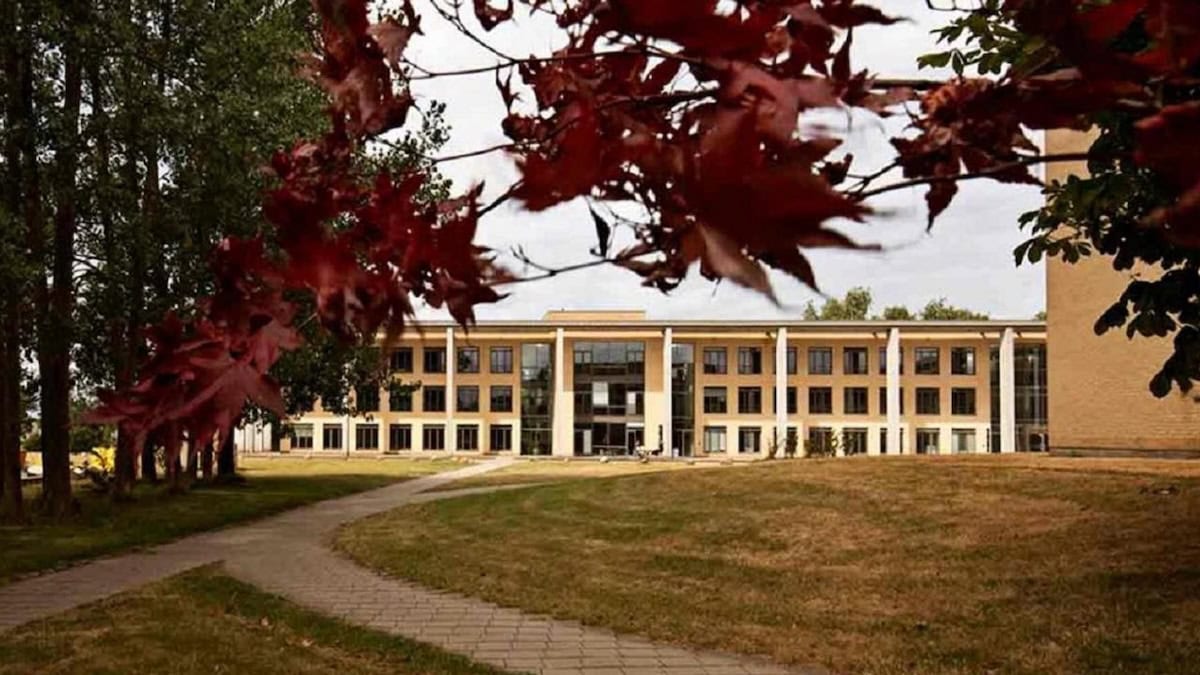 Facts about foreign self-paying students at Roskilde University
