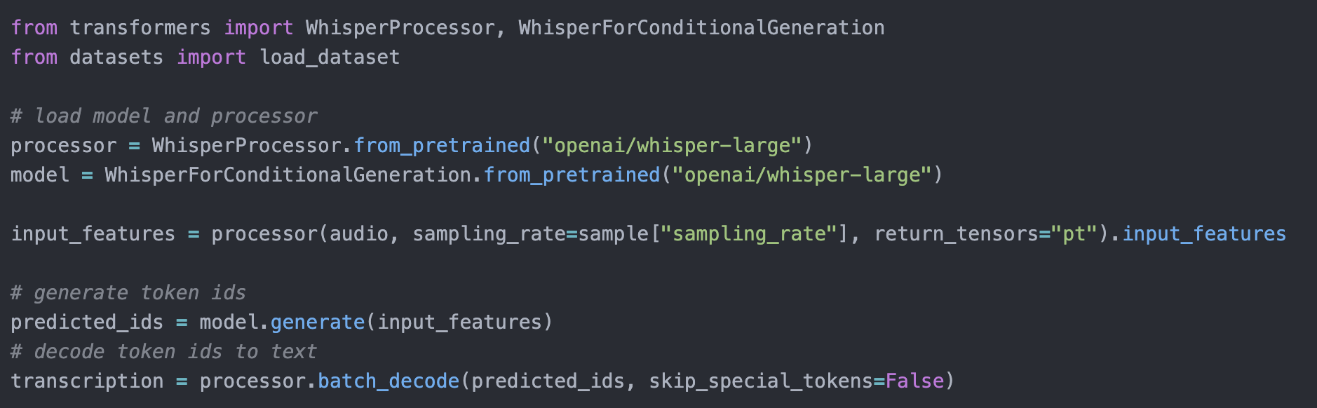 code snippet representing model inference