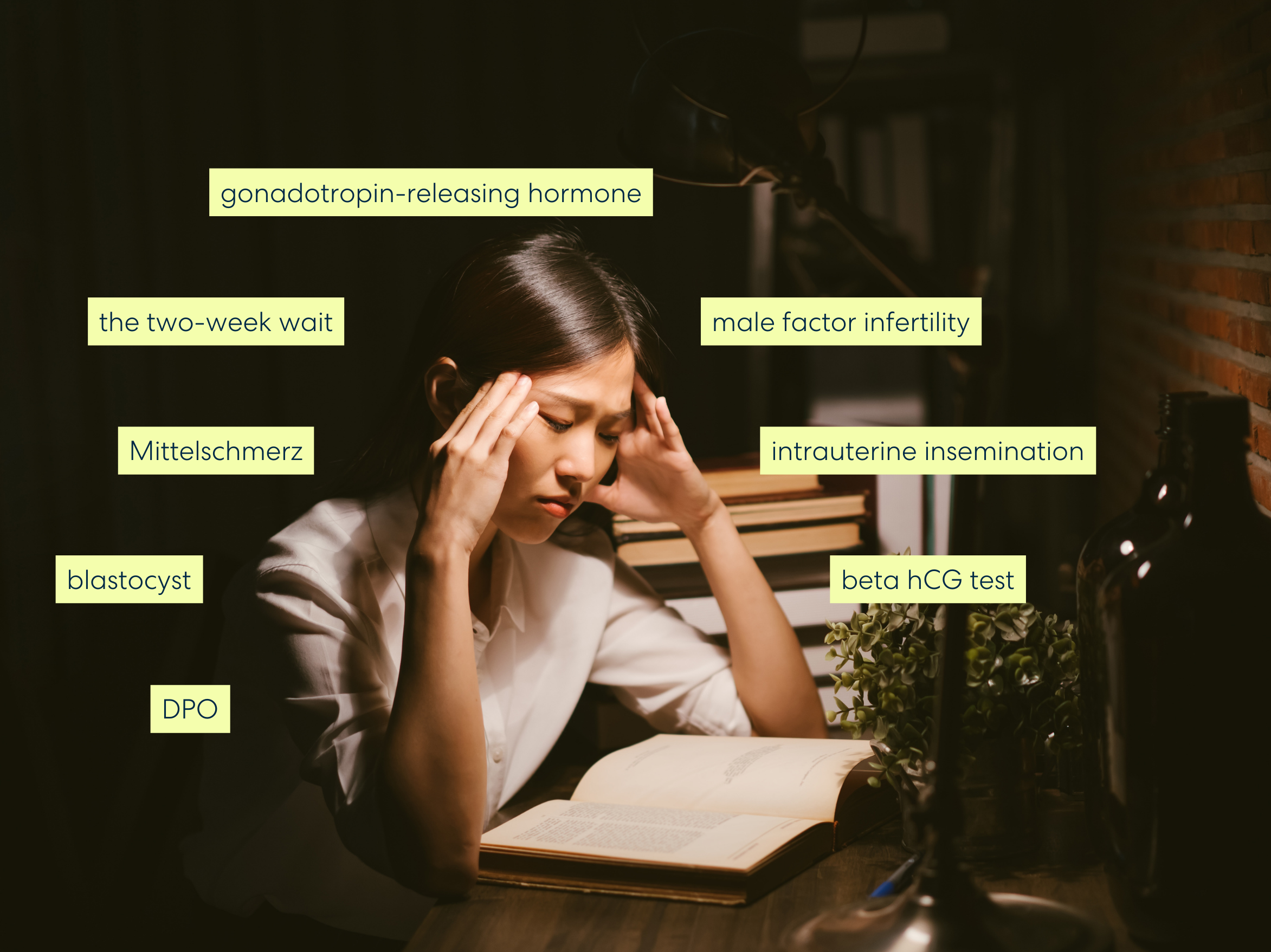 Oova Glossary: 44 Fertility Terms To Know if You're Trying to Conceive