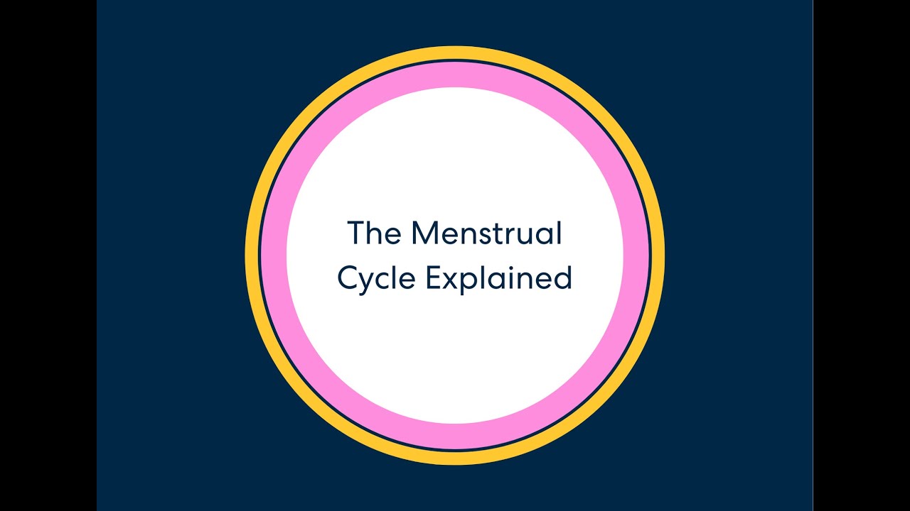 The Menstrual Cycle Explained