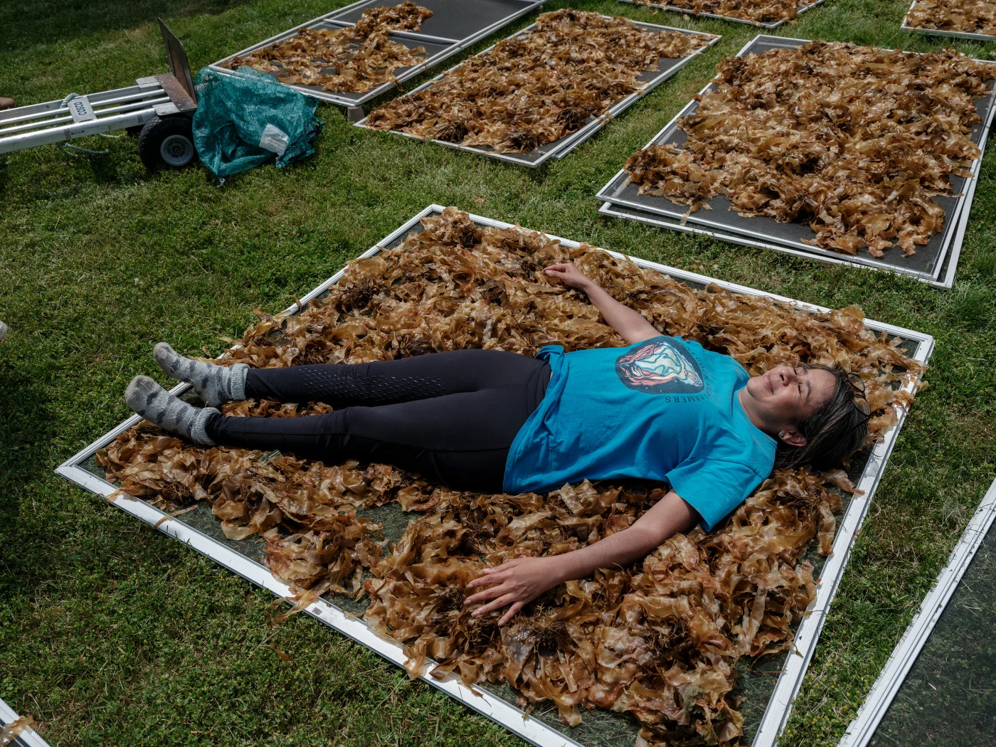 Danielle Hopson Begun takes a break from drying kelp.