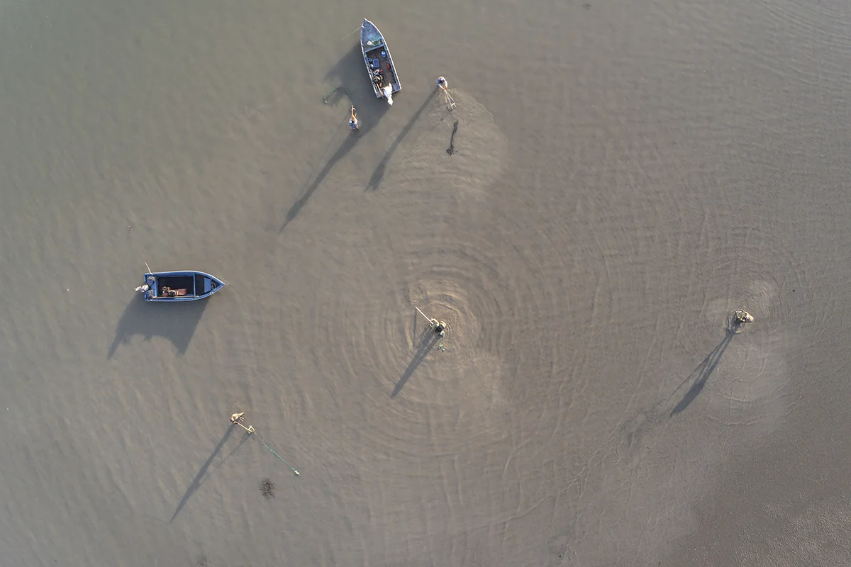Clam fishing boats head out at dawn, as fishers begin their morning work in the lagoons of the Po Delta.