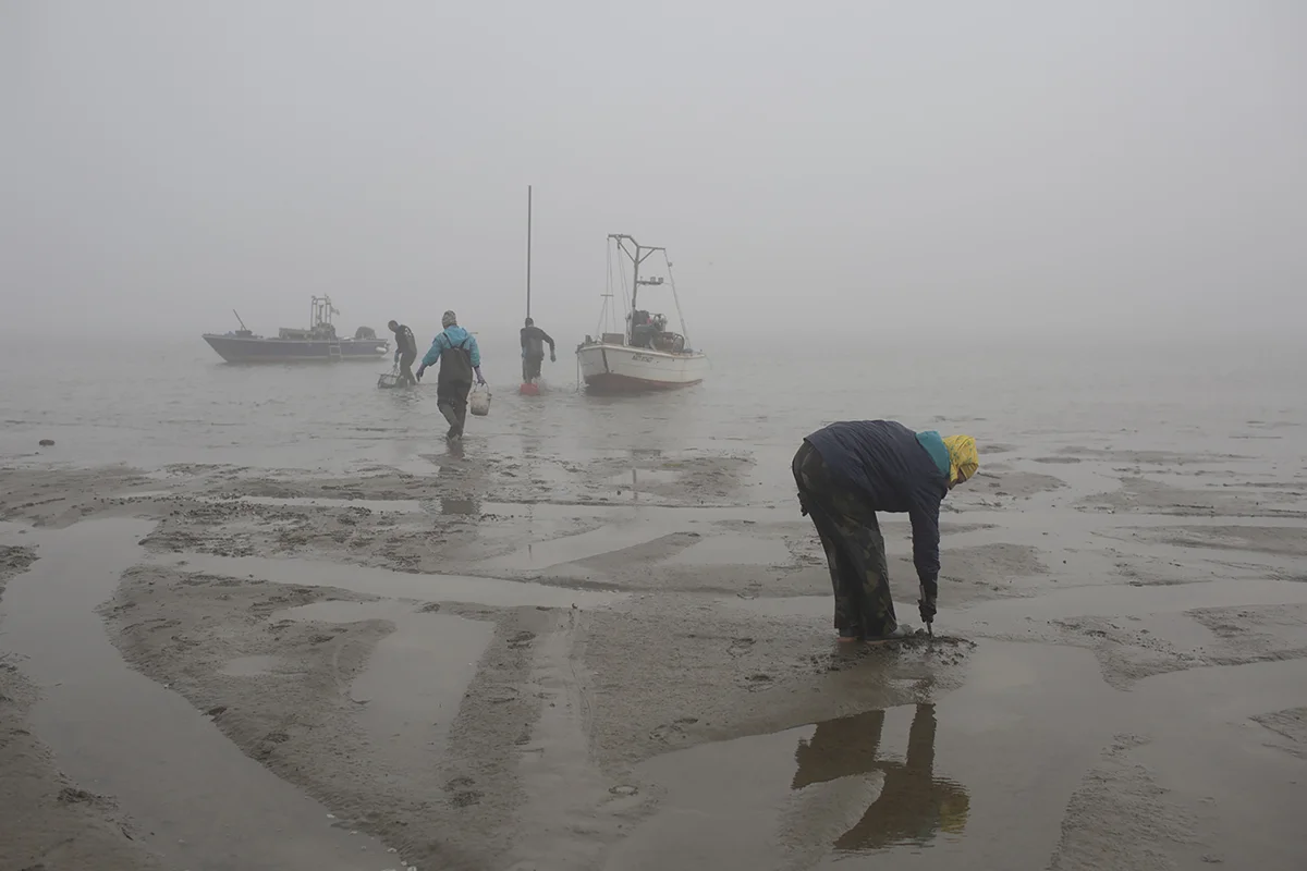 Barbara Tesserin, Chiara Vallati and their family while collecting clams by hand, as the low tide made traditional dredging impossible.