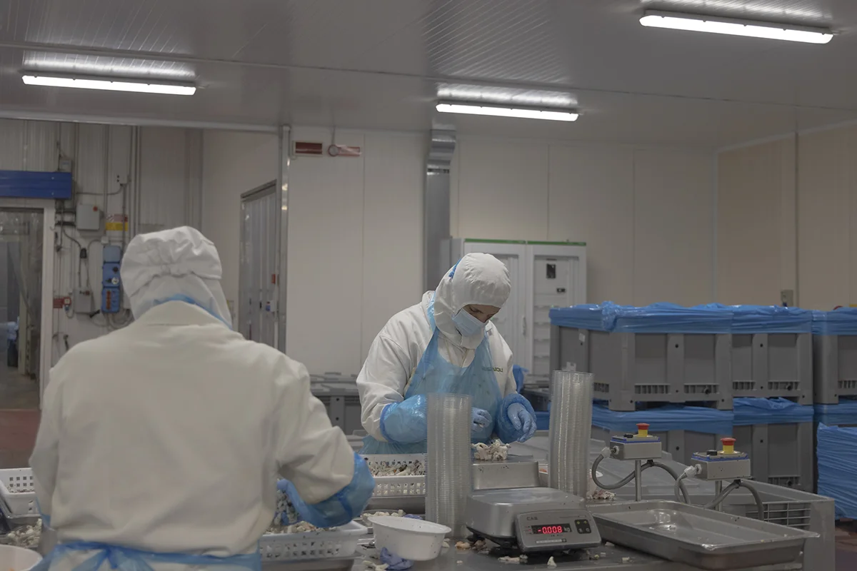 Giovanna Pizzo, a fisherwoman for 20 years, now works in the fishing industry after giving up her license in 2024 due to the crisis affecting the Po Delta.