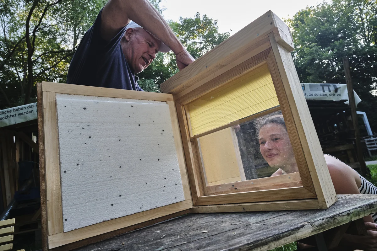 The whole family has always helped Volodymyr (73) with his beehives, says Viktoriia Shylina. Here, the two of them are working on a beehive with windows to enable a look inside as an educational device for school children.