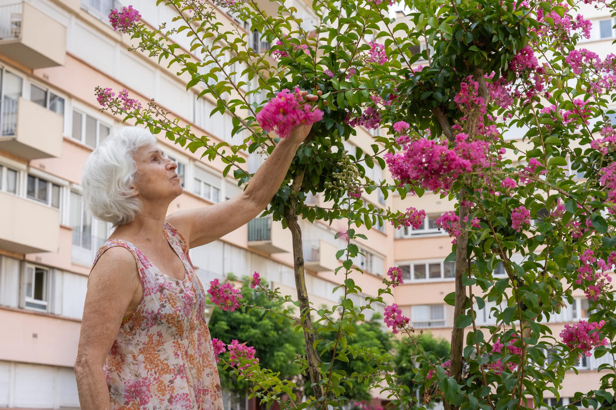 She looks at the flowers growing in the front garden of the high rising building, in which she occupies a flat, Toulouse, France 2026.