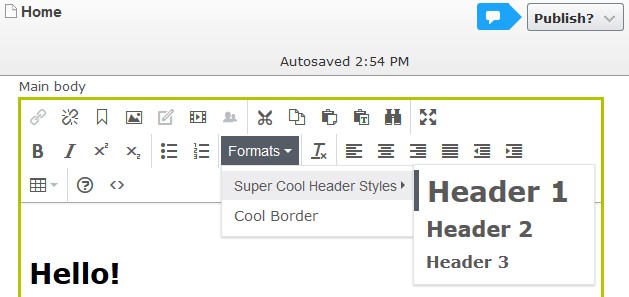 Rendered TinyMCE Editor style selections in the "Formats" dropdown toolbar button.