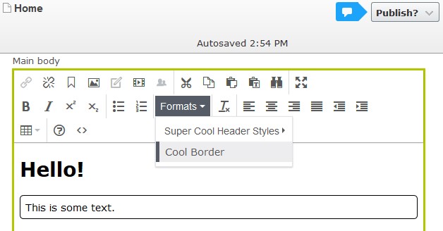 Selected "Cool Border" style previews style on the text in TinyMCE Editor.