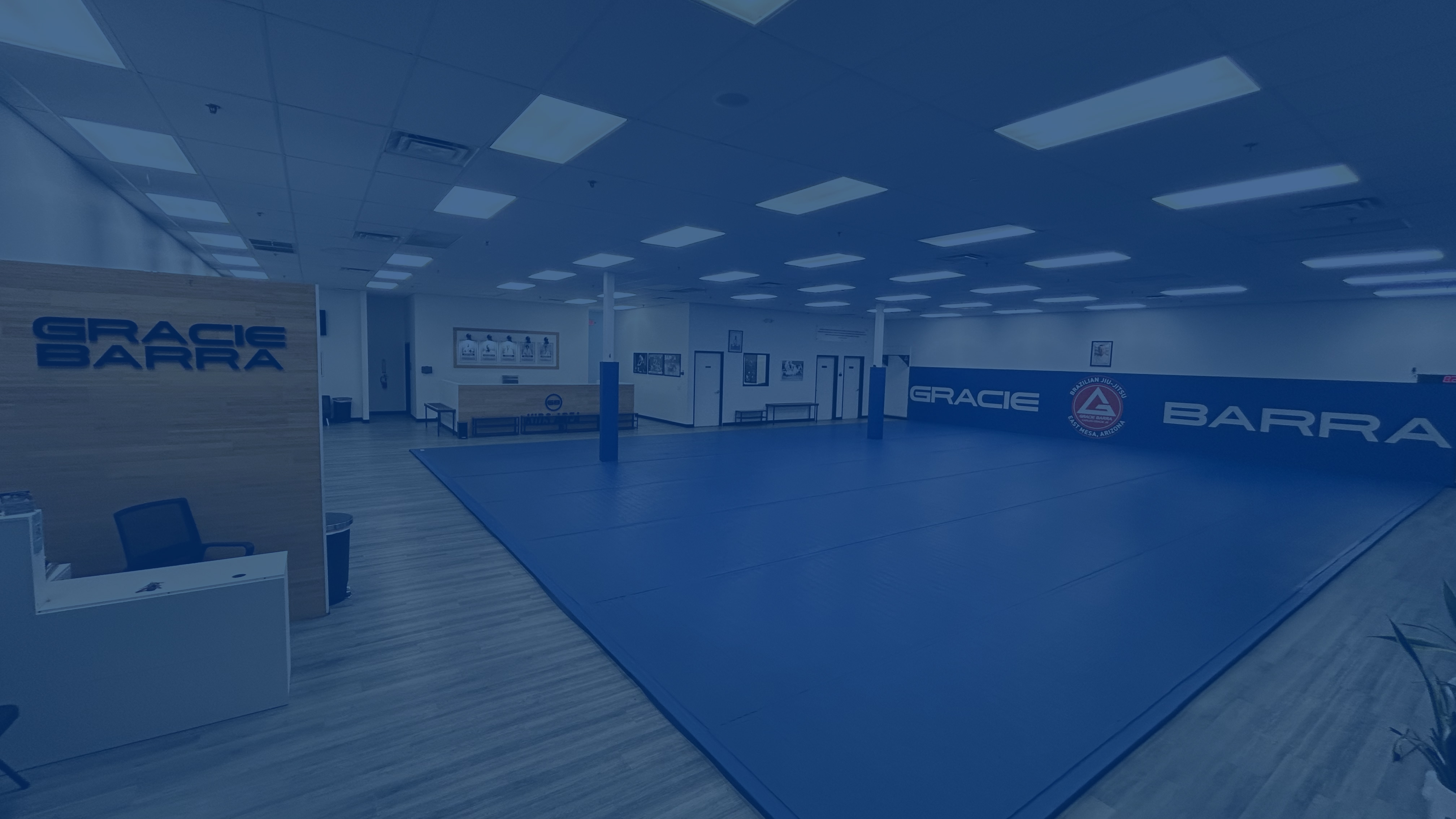 Gracie Barra East Mesa Brazilian Jiu-Jitsu