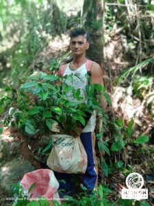 man behind bush in the forest