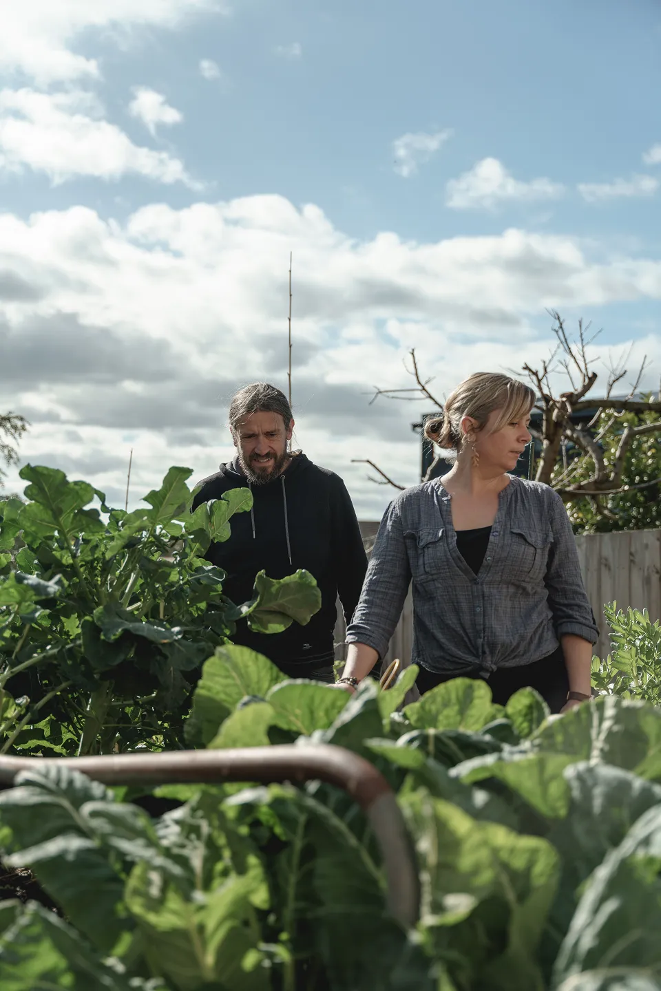 Lot 93: one of the parcels of the Daintree forest HalfCut and its strategic partners Rainforest 4 and the Jabalbina Yalanji Aboriginal Corporation want to purchase this year. You can help them protect this precious rainforest forever!