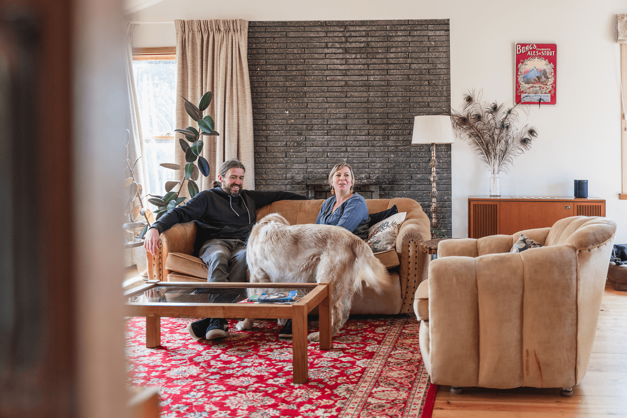 More of the Daintree rainforest