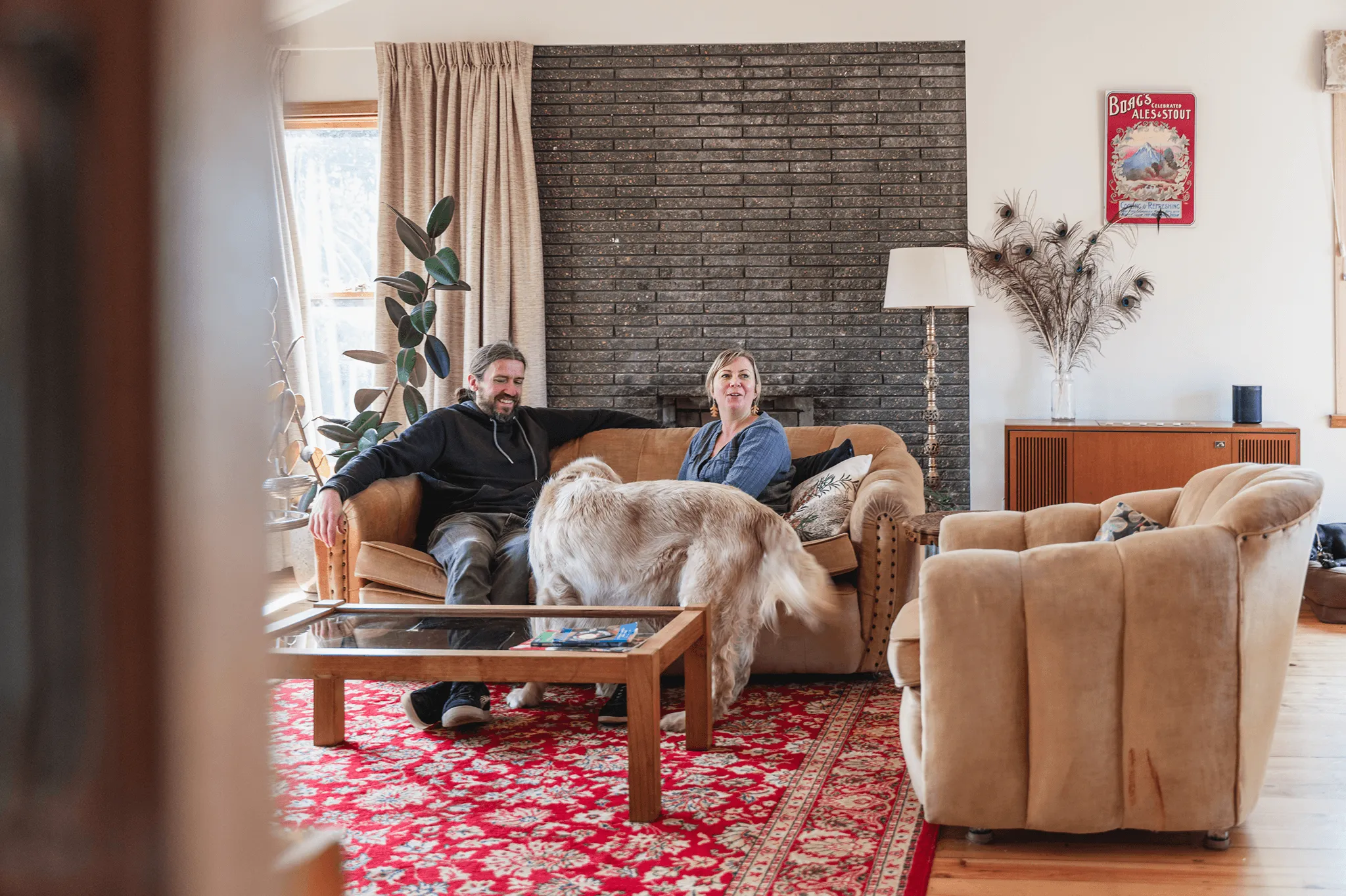 More of the Daintree rainforest