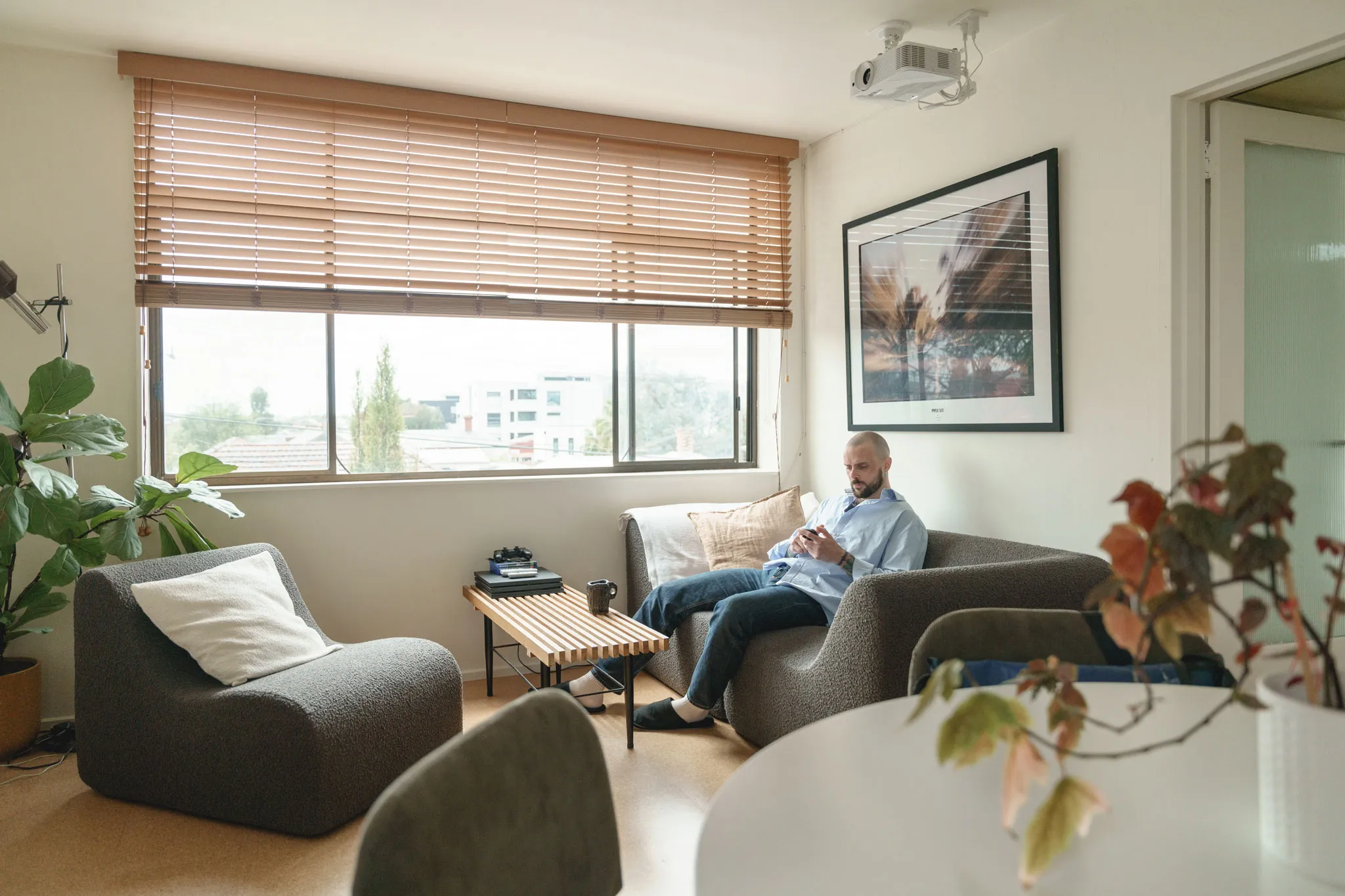 More of the Daintree rainforest