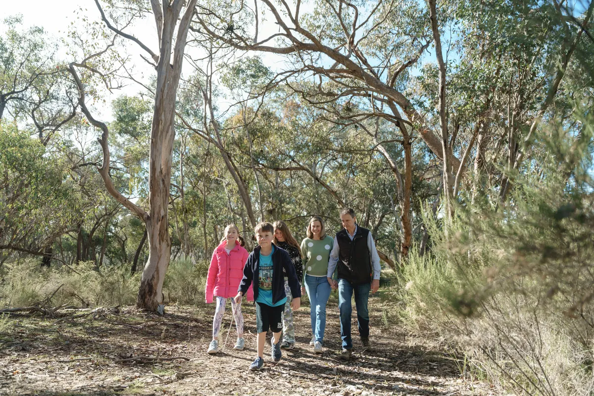 The family walks together in the forest