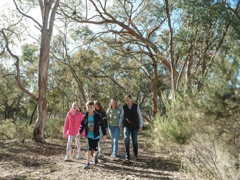 Ashely and Julia's family walk in a forest with their children