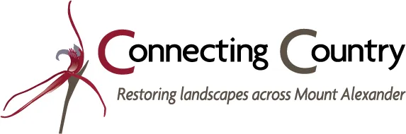 Connecting Country logo