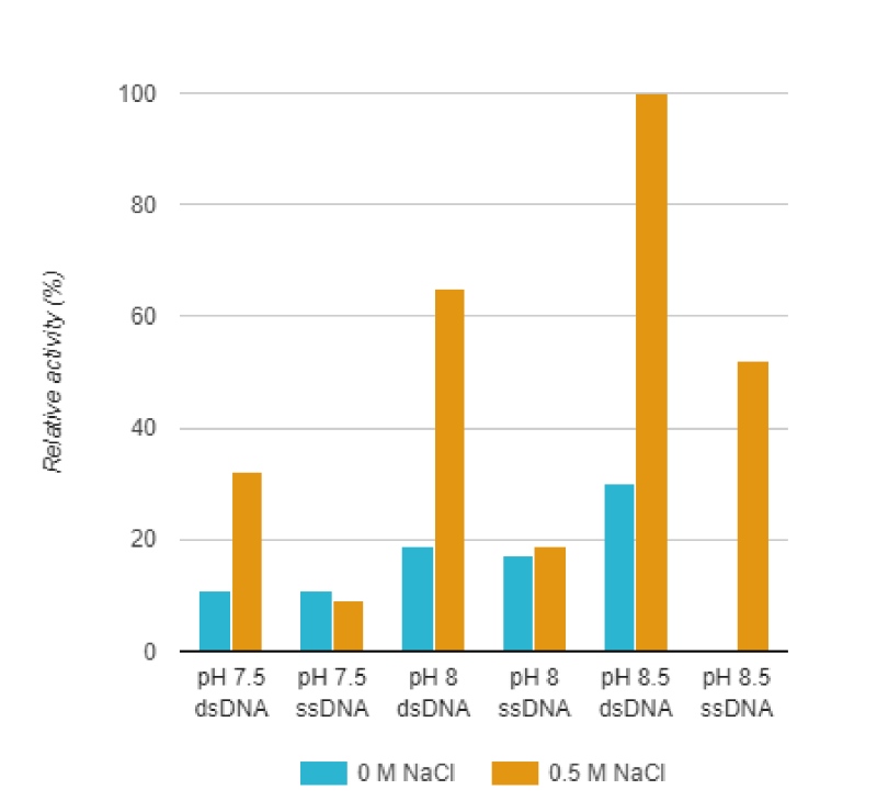 Endonucleases Non-Specific - Buffer composition affects substrate preference