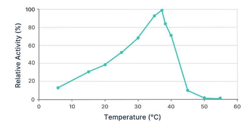 Endonucleases Non-Specific - Temperature and activity