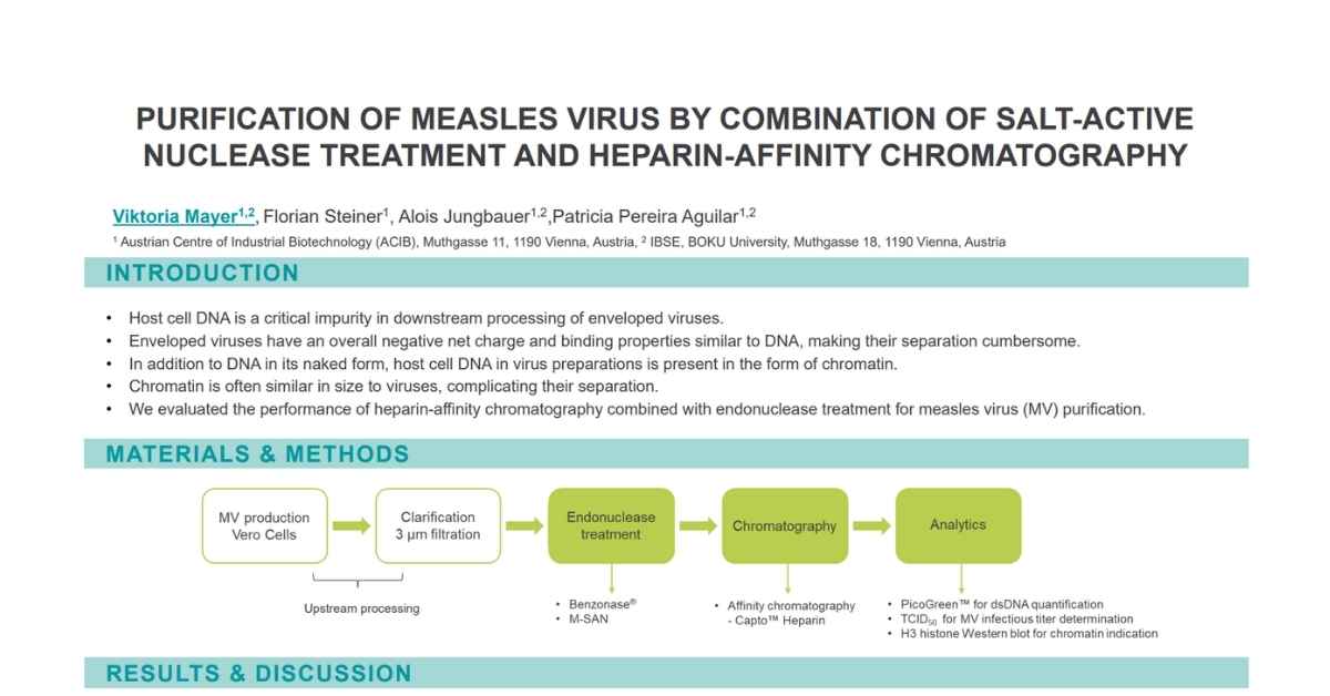 Purification of Measles Virus using Salt-active Nuclease