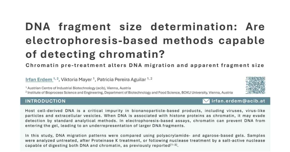 DNA fragment size determination