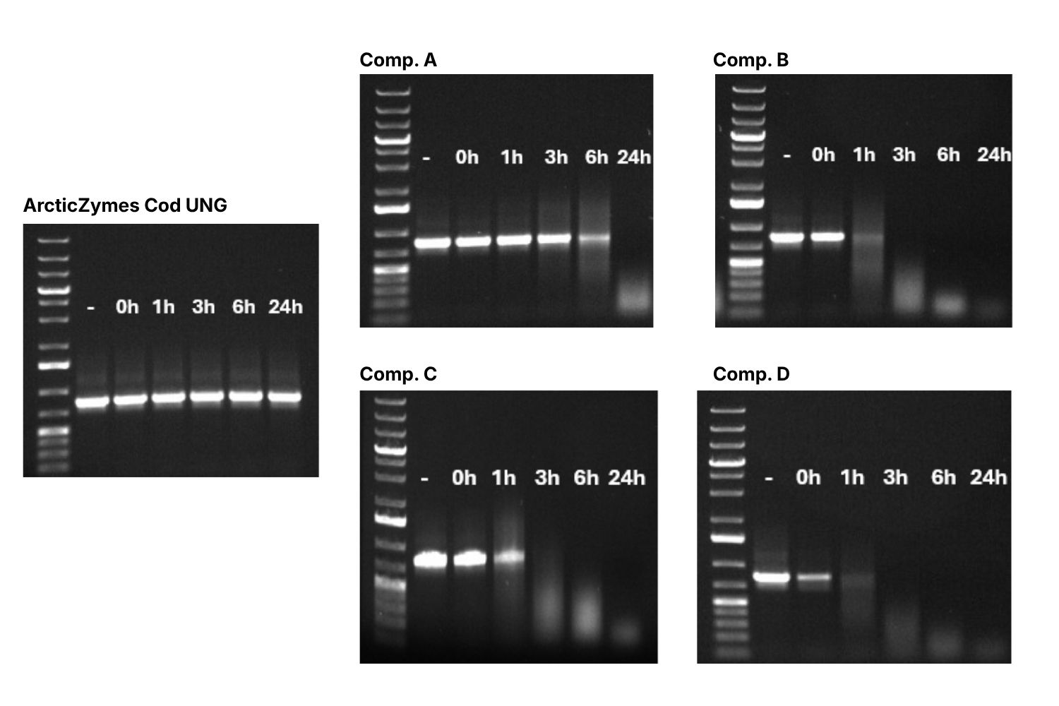 Cod UNG - The only UNG that become completely and irreversibly heat-inactivated is Cod UNG