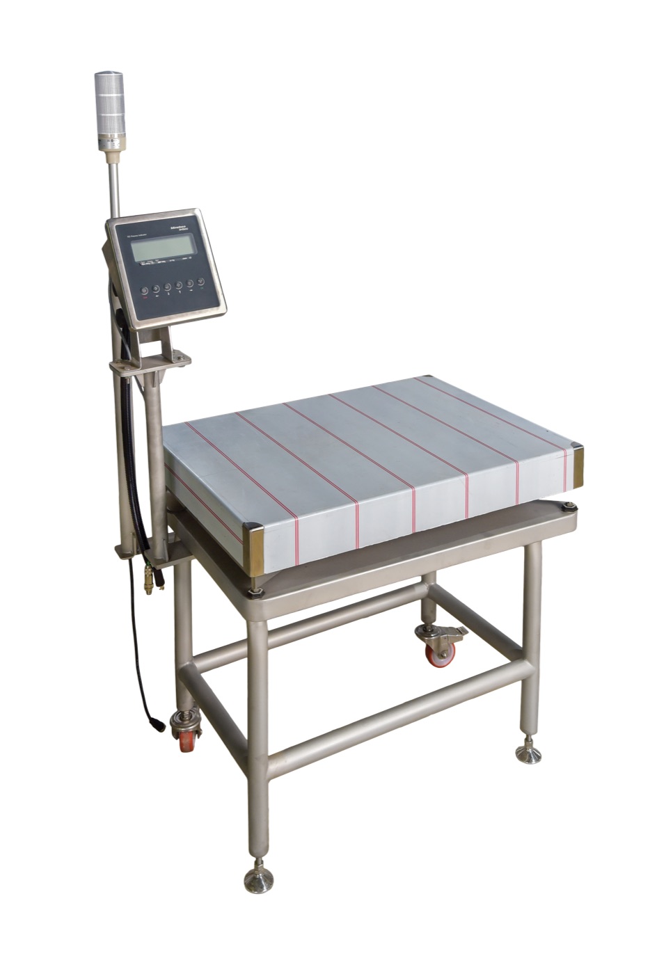 Platform scale