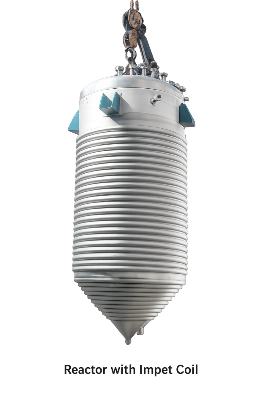 Reactor with limpet coil