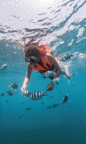adventure