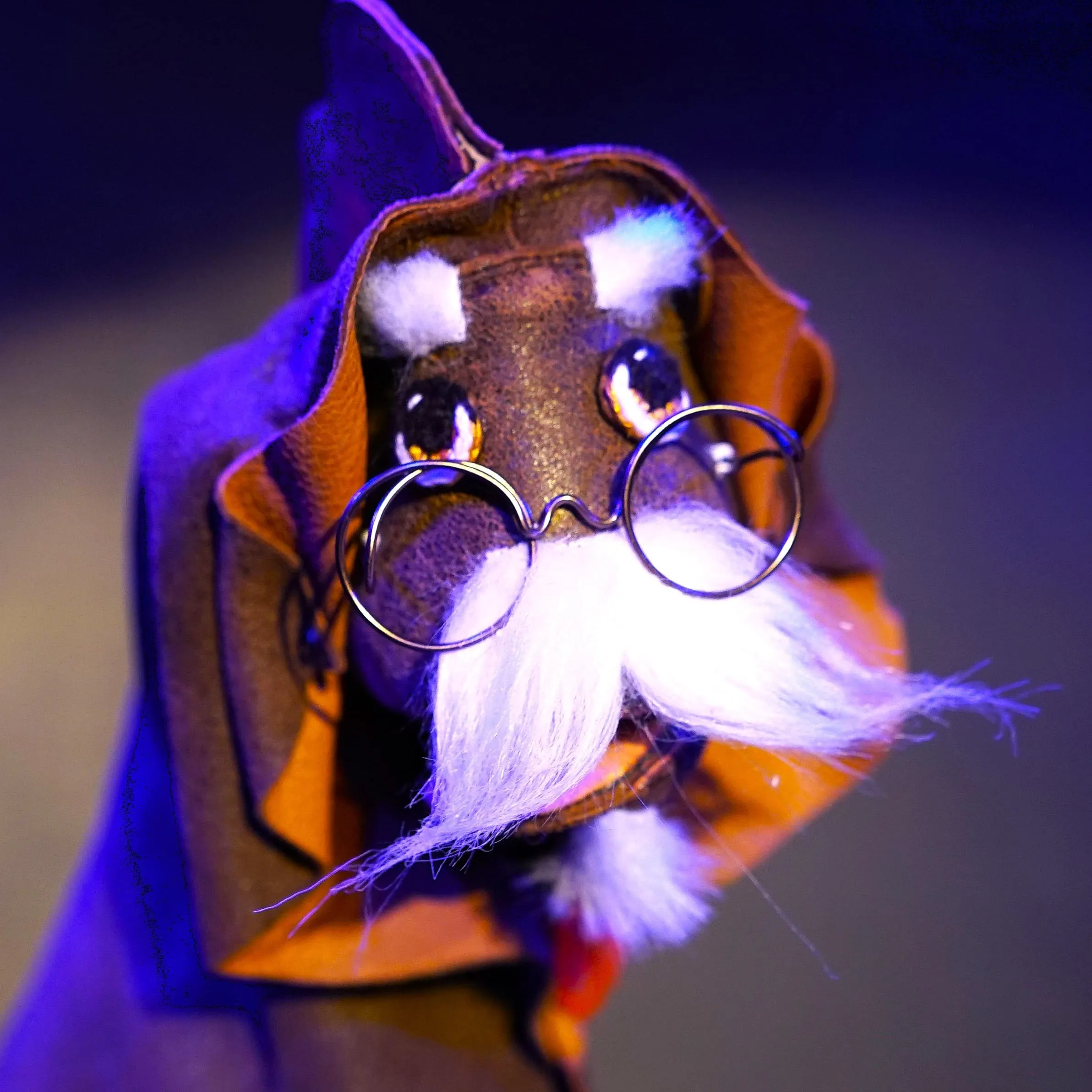 Photo spectacle "bubulle et le poisson volant"