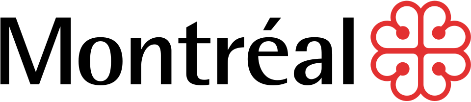 Manteau North Face