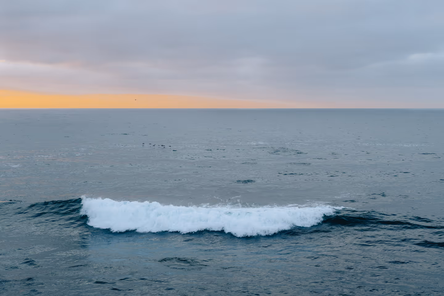 A calm ocean wave rolling toward shore beneath a pastel-colored sunset sky.