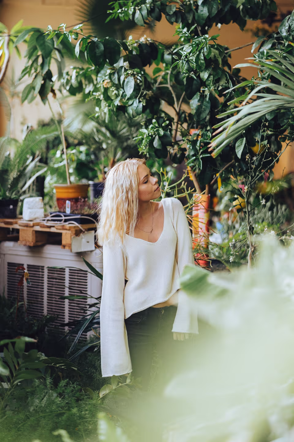 Women in plant shop looking up to the right. 