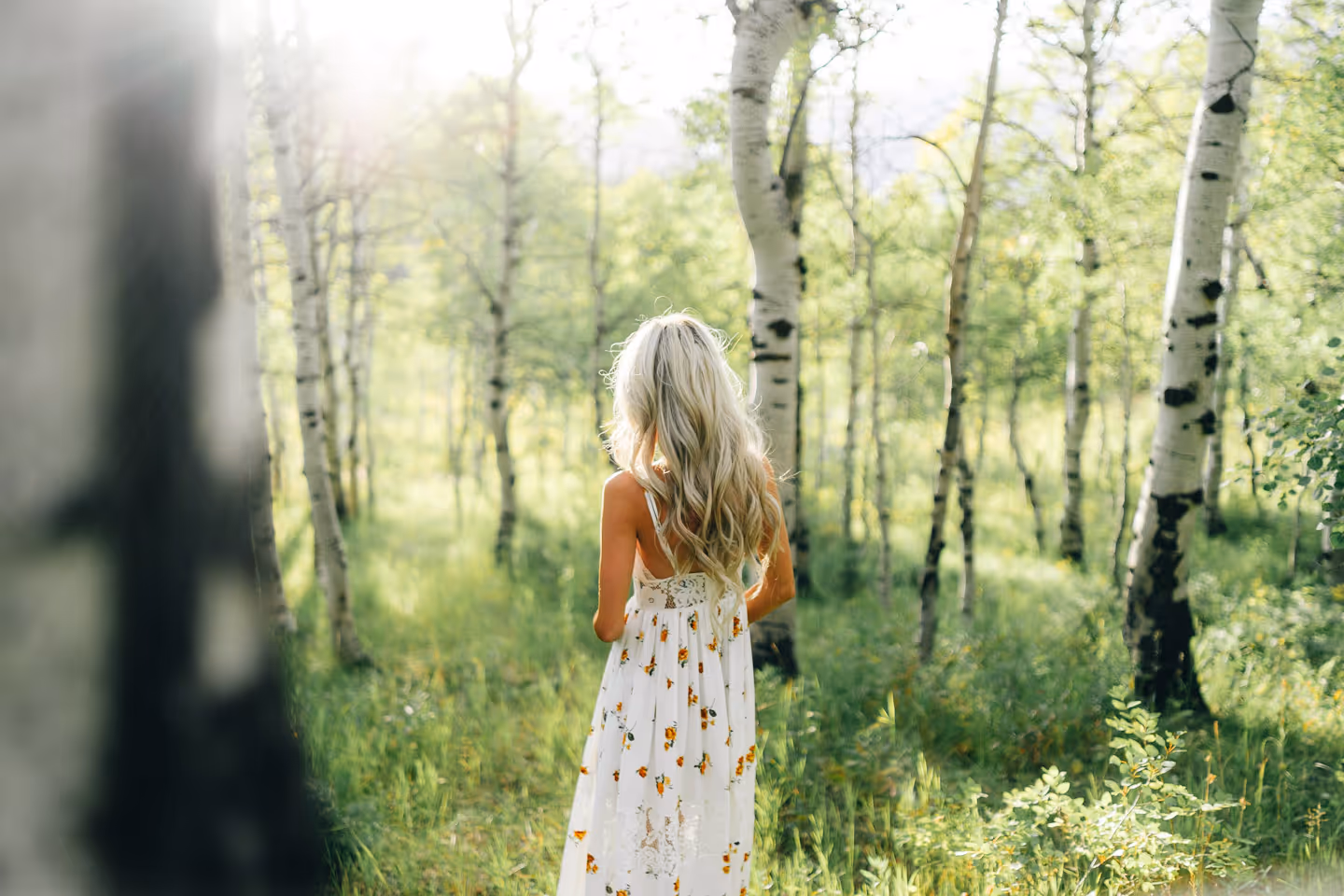 Woman in a white dress walking in a birch forest. 