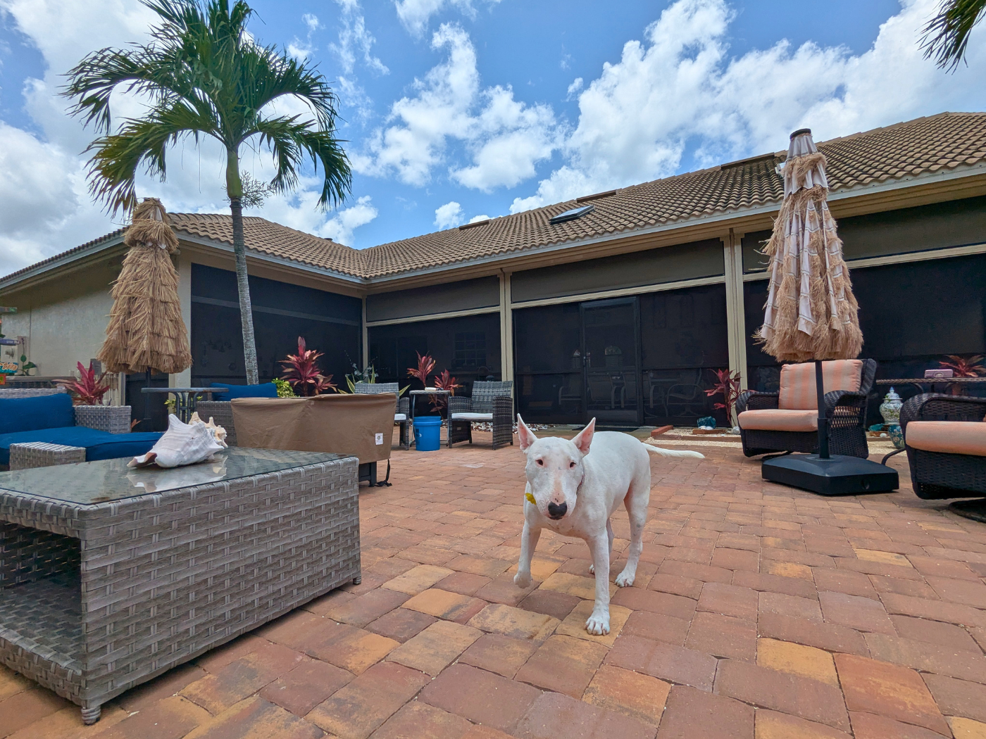 Motorized Patio Screens in Melbourne, FL.