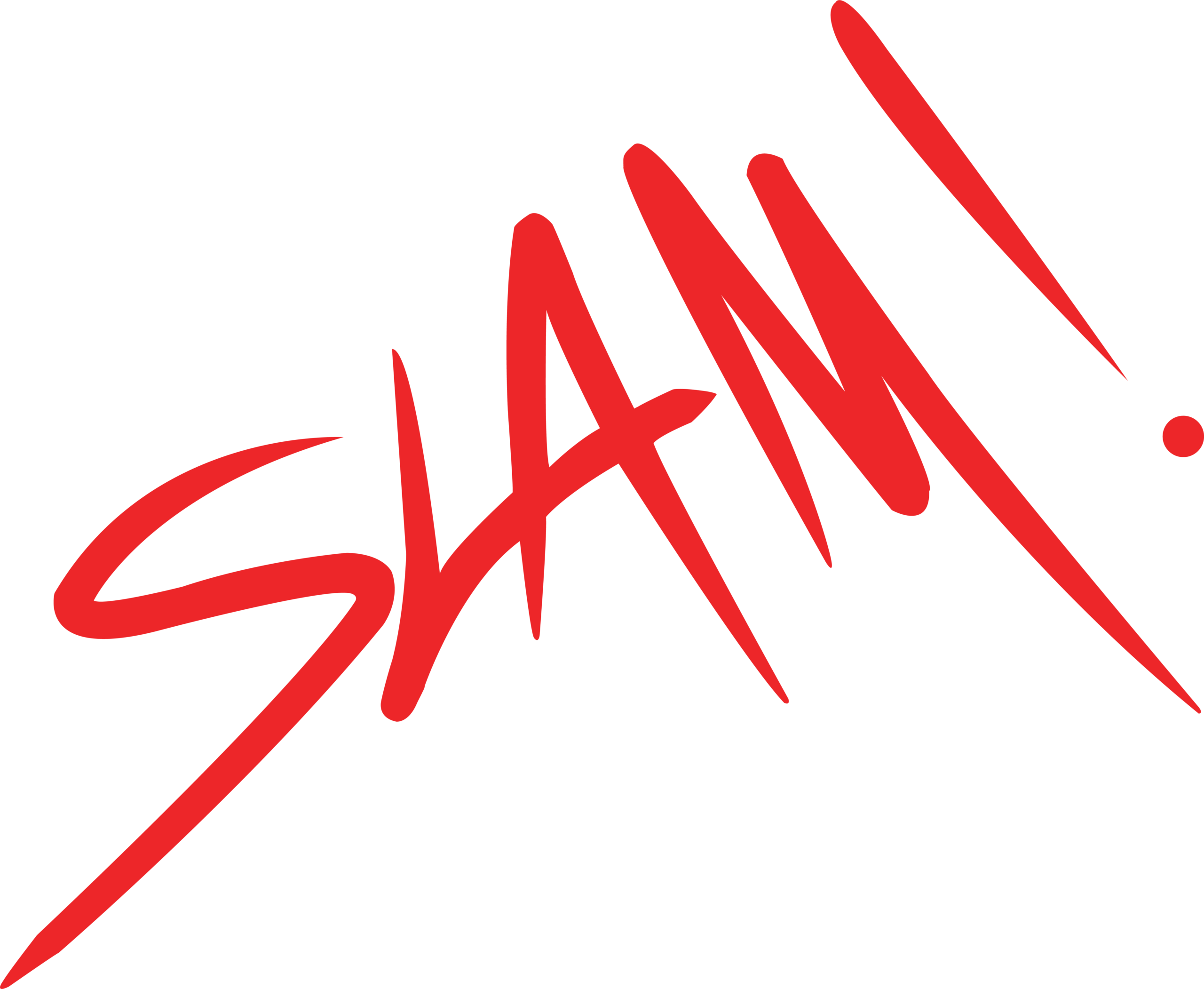 Sports Leadership and Management Academy of Nevada