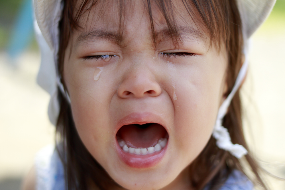 Above and Beyond Therapy explains that emotional stress can be a cause of an autistic meltdown.