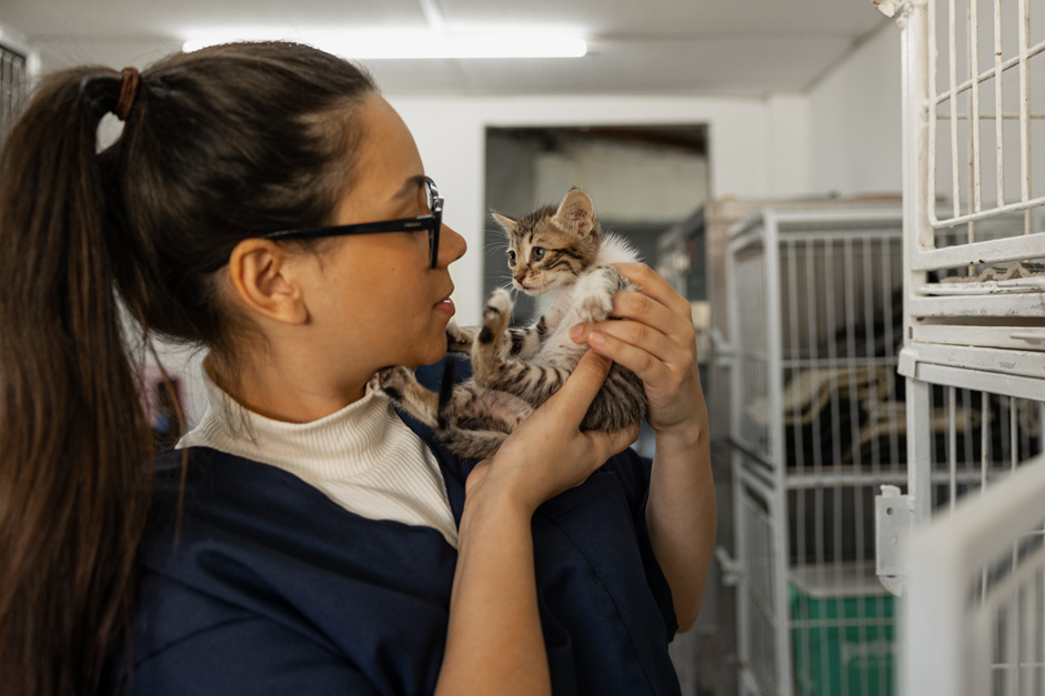Above and Beyond Therapy includes animal care amongst the best jobs for autistic people.