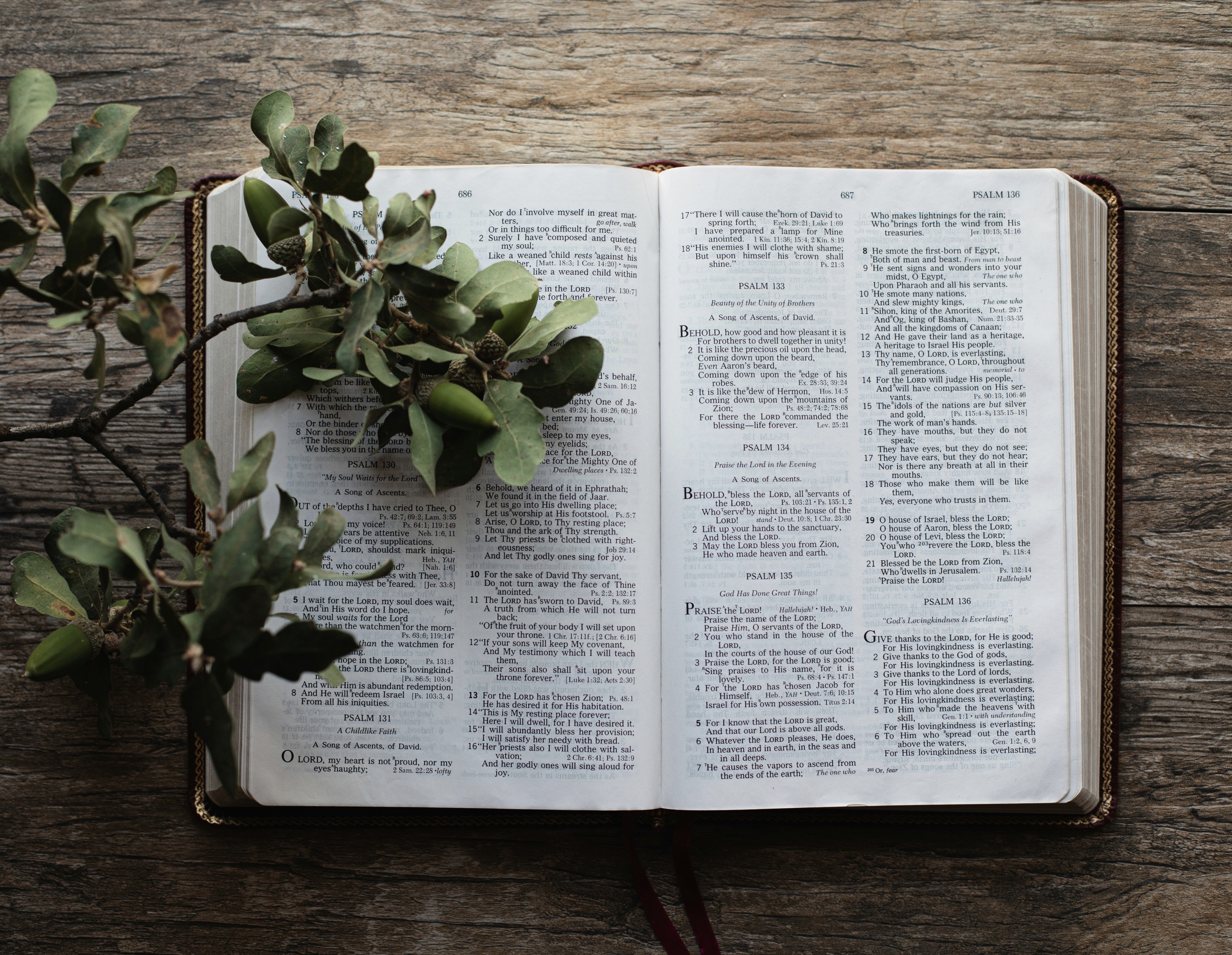 Photo by Sixteen miles out
*sixteen-miles-out-Nu6IGoTrh3Q-unsplash