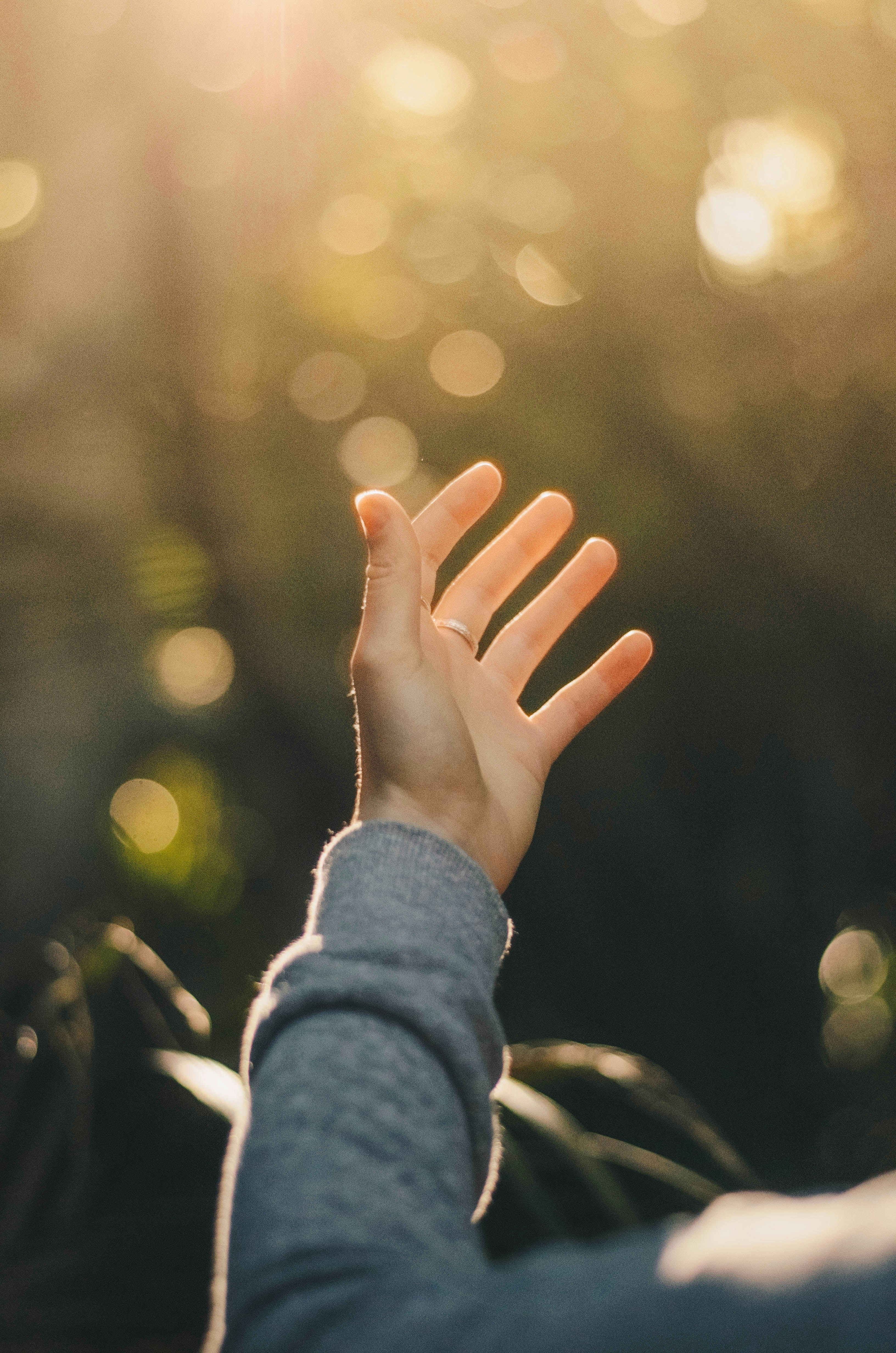 A hand lifted toward sunlight in a peaceful outdoor setting.

Photo by Dev Benjamin, unsplash
*dev-benjamin-voIzq8LEdlo-unsplash