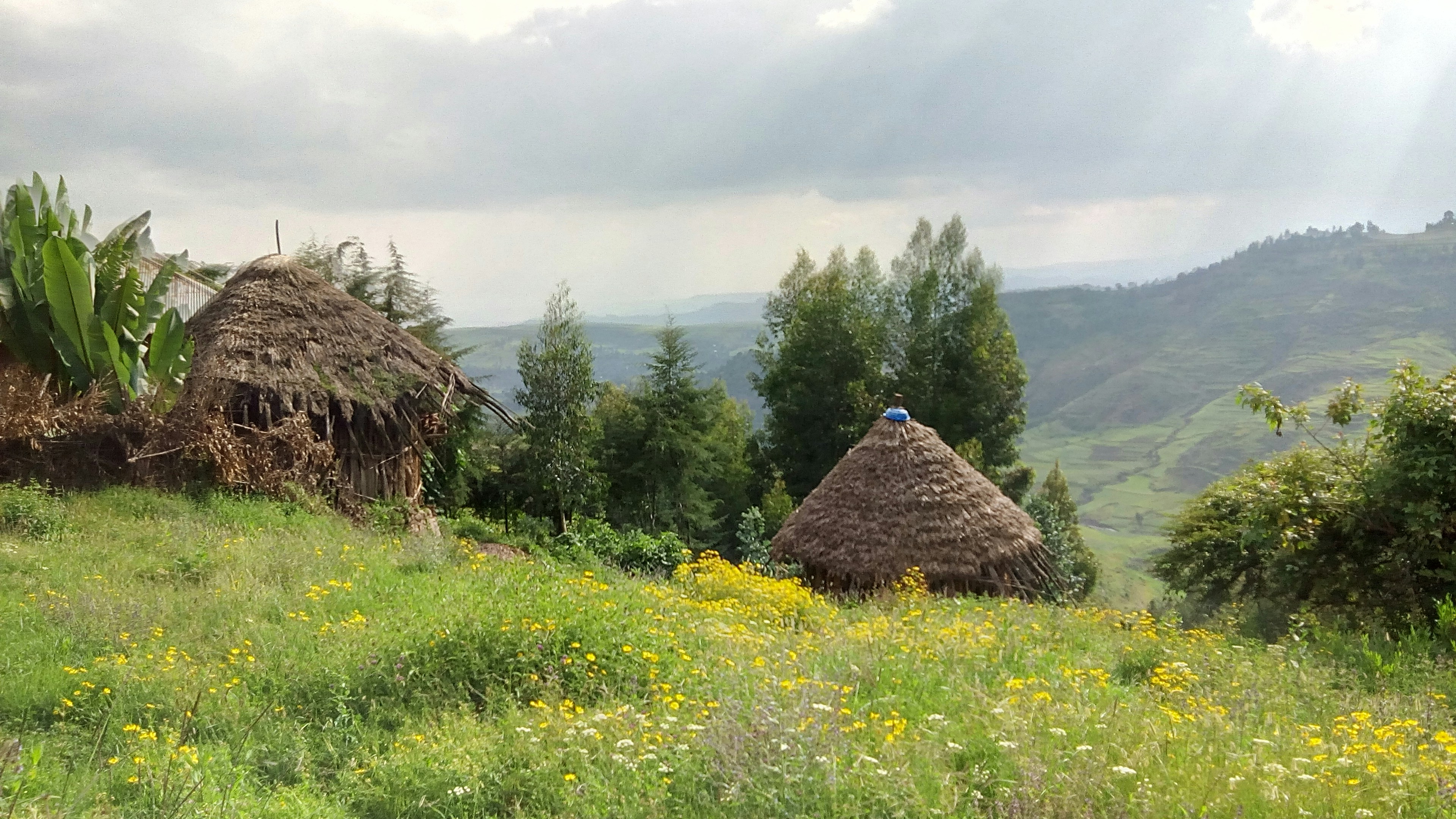 A view of two grass huts in a beautiful lush green field with a view of the mountains in Ethiopia. 

Credit: temesgen-negussie-AGG0yz1YGgk-unsplash