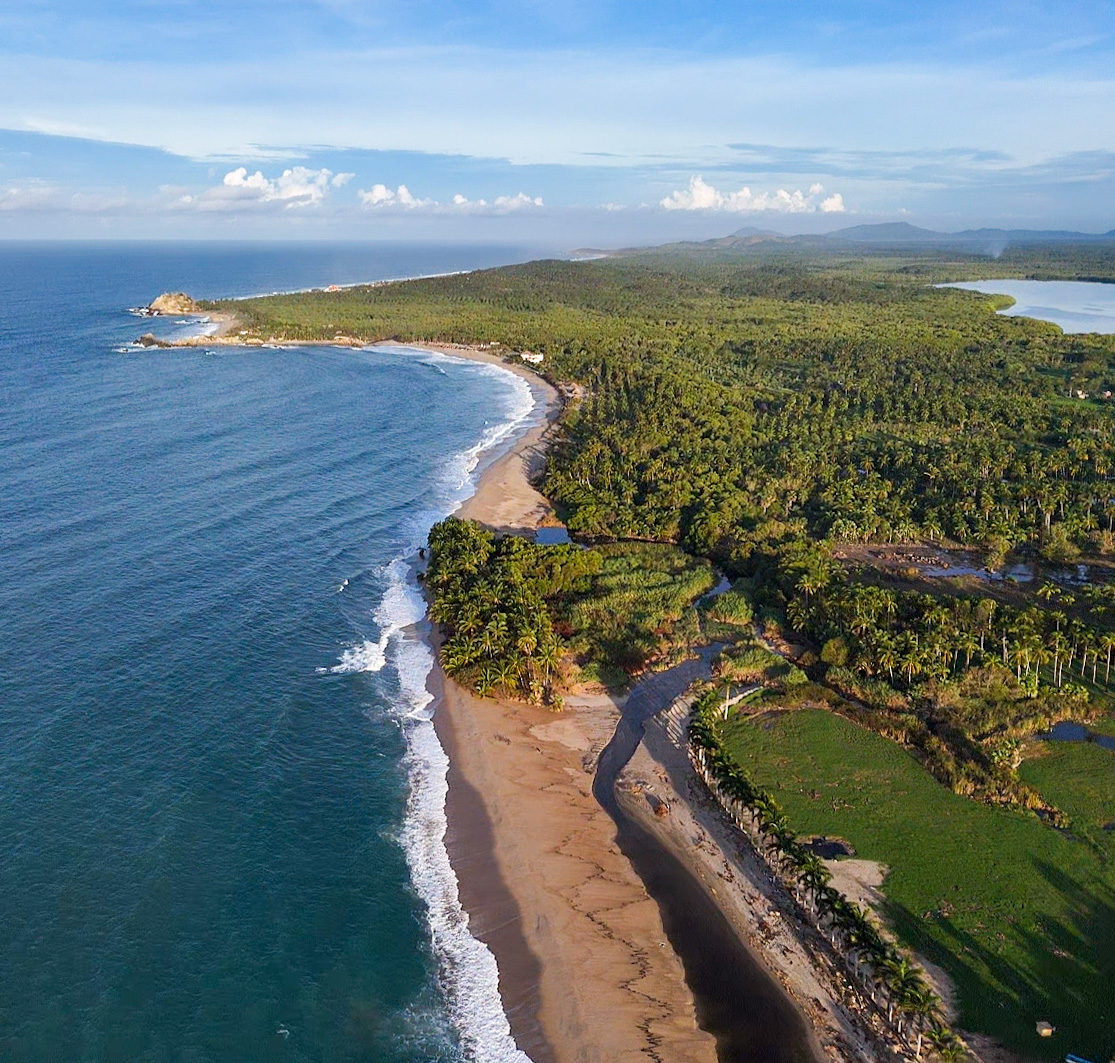 A scenic aerial view of Roca Blanca’s coastline shows rolling waves, sandy beaches, and dense palm forests stretching along the ocean.
