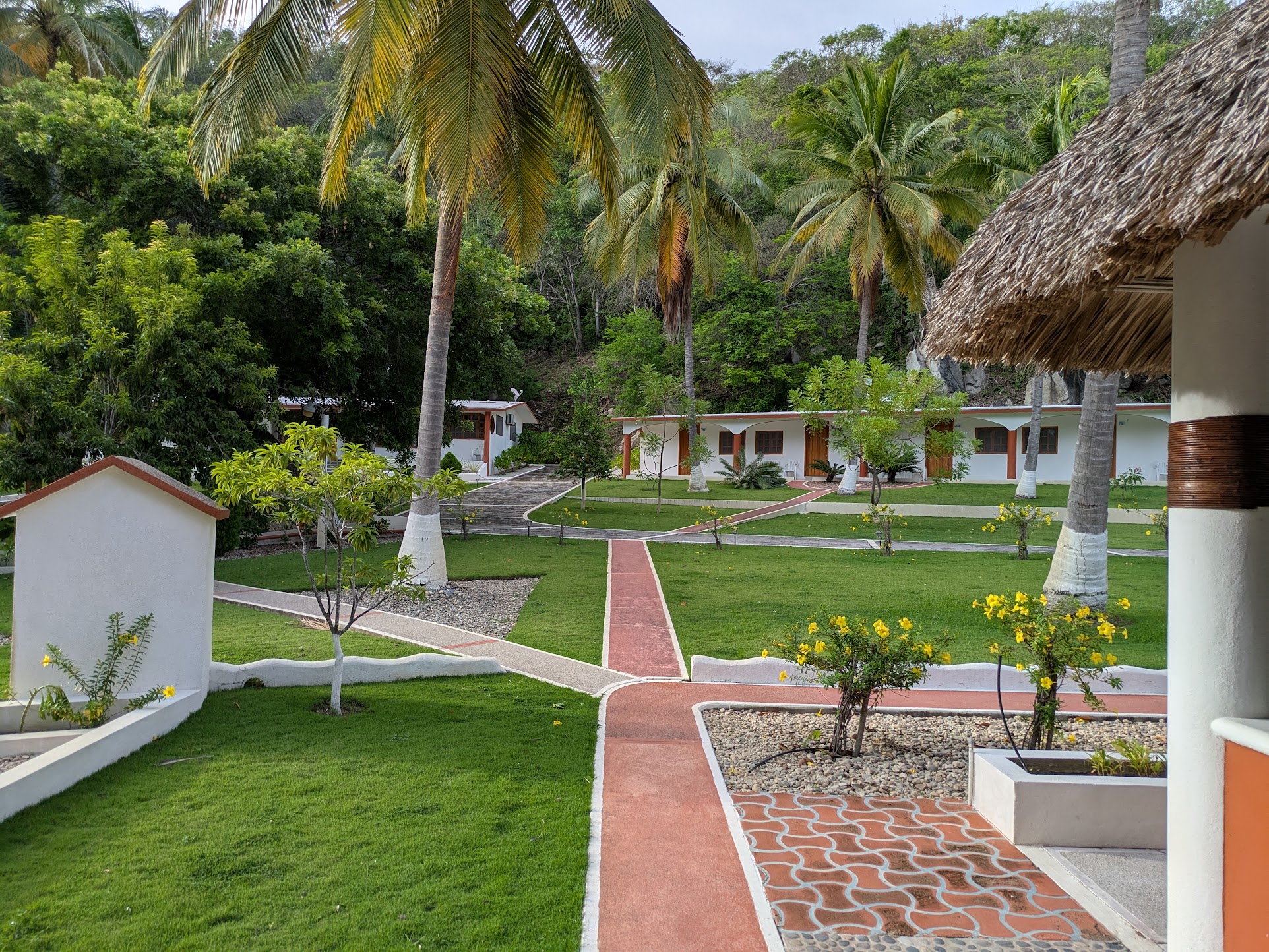 A neatly landscaped courtyard with palm trees, yellow flowers, and white buildings connected by red walkways at Roca Blanca.
