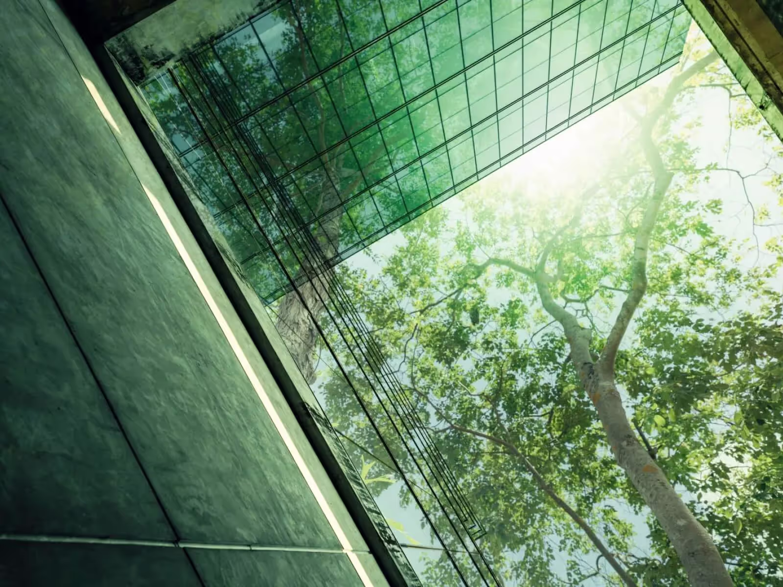 Wealth Management – Advice, Client Service & Experience