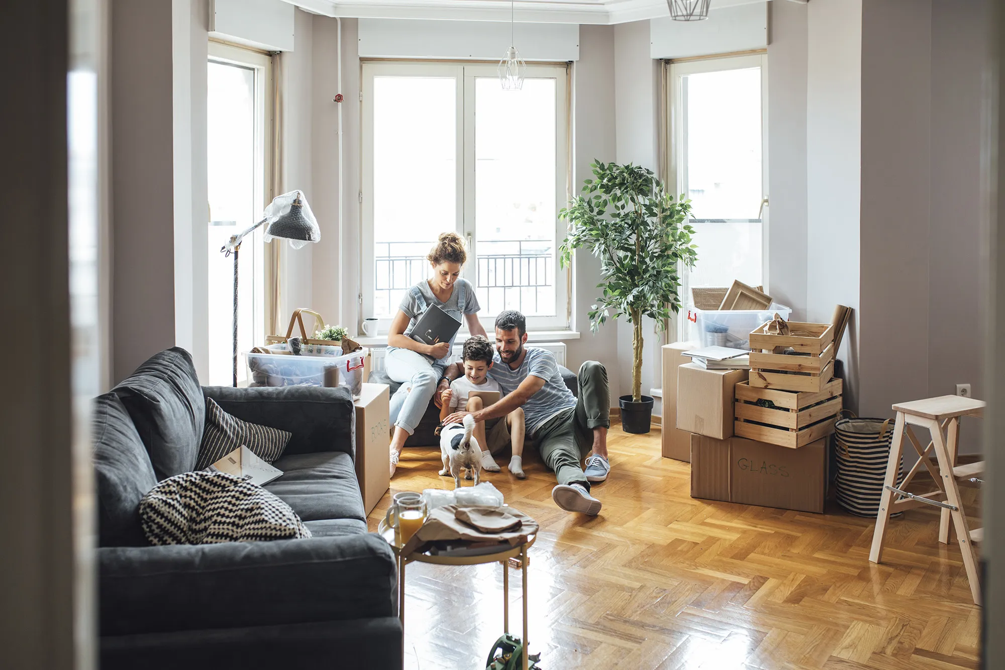 Wealth Management - Advice, Client Service & Experience