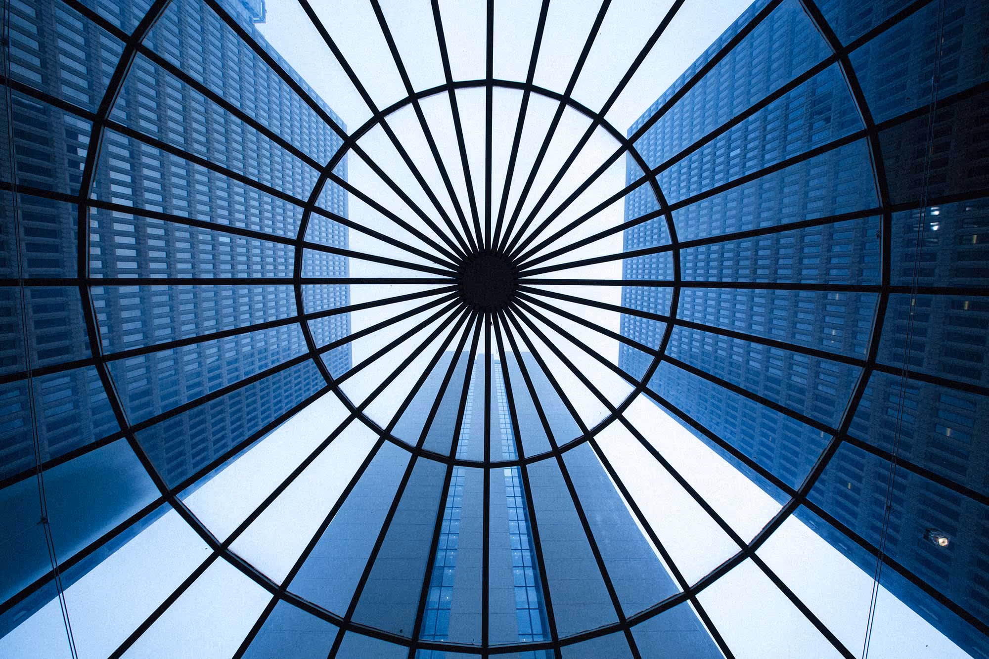 Driving Strategic Business Growth with Virtual CFOs