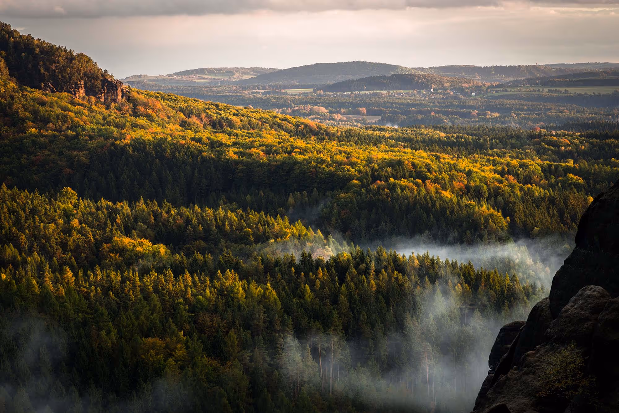 The Cost of Non-Compliance: What Happens If You Ignore Sustainability Reporting?